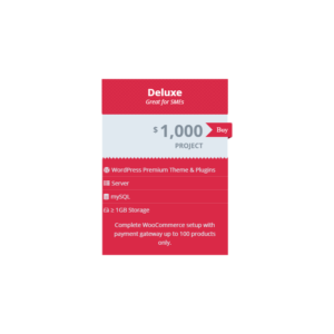 Deluxe Website Project