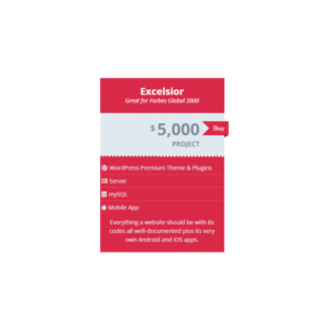 Excelsior Website Project