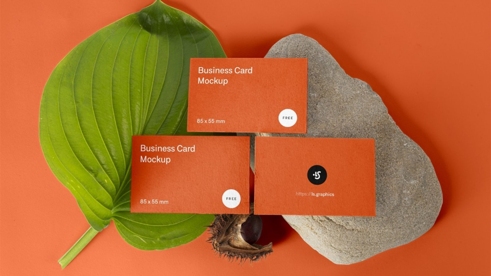 5d776917247be105cd3ed550_for-web-big-2-1600x900